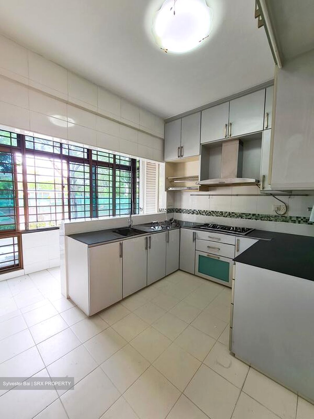 Far Horizon Garden (D20), Condominium #504139521